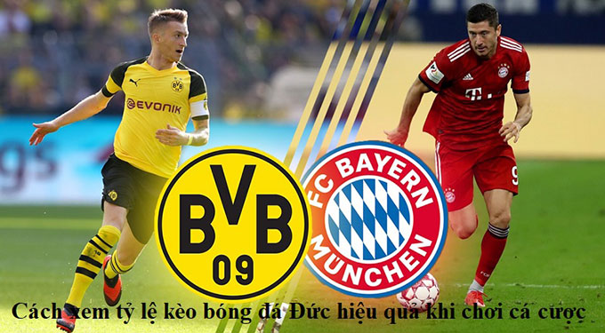 Cách soi kèo bóng đá Đức