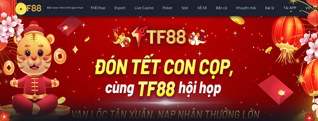 tf88
